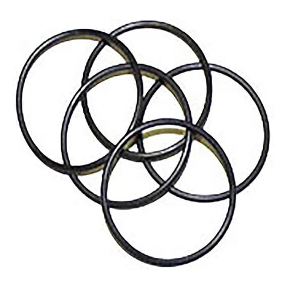 Ghiere Guarnizione Cuscinetto Mozzo Zipp (5 Unità )