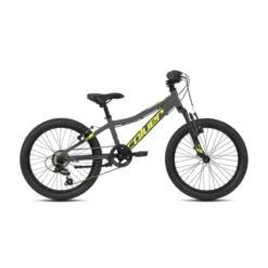 Bicicletta Per Bambini Coluer 20" HS Rider Grigio