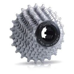 Pacco Pignoni Miche Primato 11V 12/29